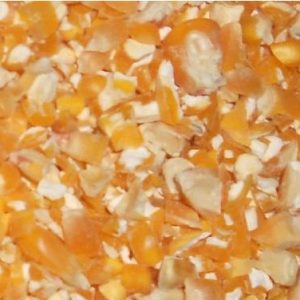 Chicken Feed - Cracked Corn