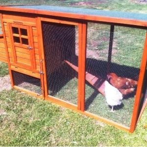 Chickens & Coop Package