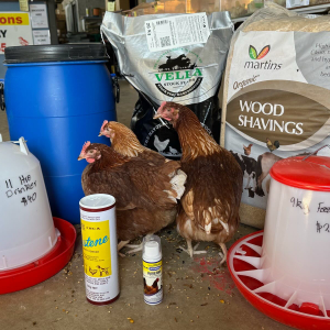 Barter Chicken Package