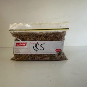 Bags Worms