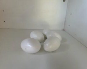Fake plastic eggs