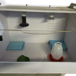 Chicken Brooder